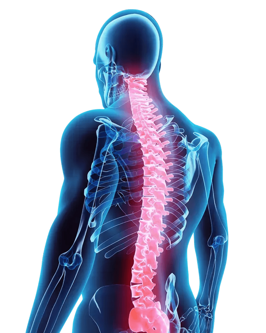 Human anatomy illustration showing common pain regions treated at Reno Regenerative Medicine